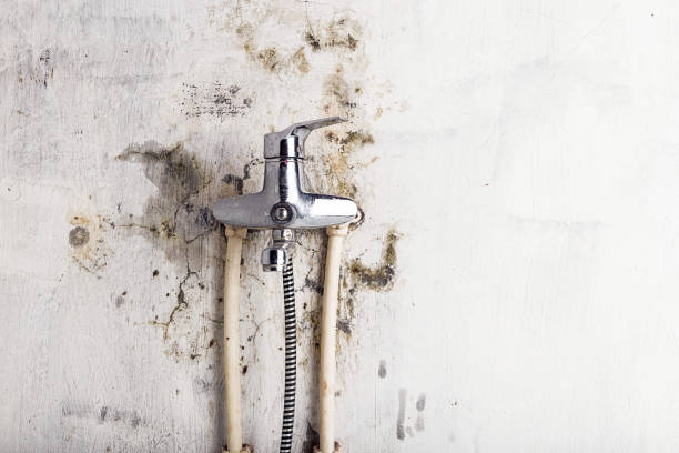 Best Emergency Mold Removal  in East Oakdale, CA