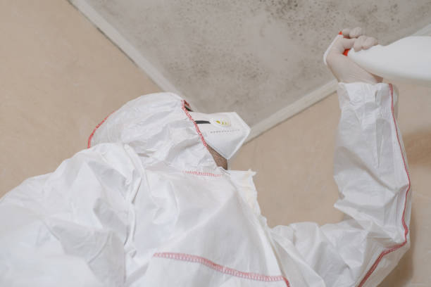 Best Crawl Space Mold Removal  in East Oakdale, CA